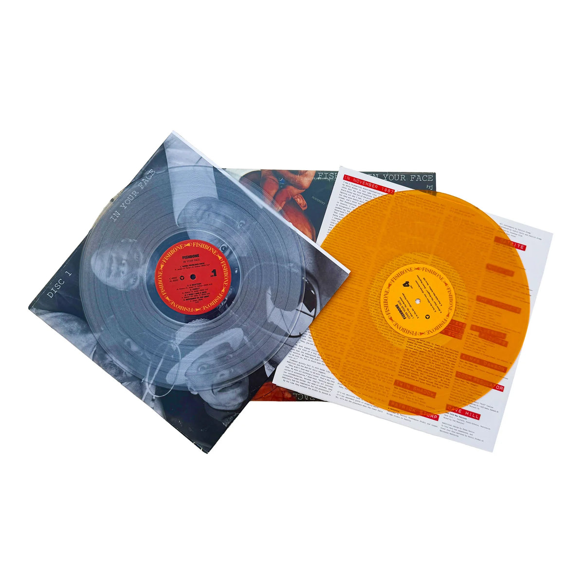 In Your Face 40th Anniversary Double Vinyl LP - Tour Edition